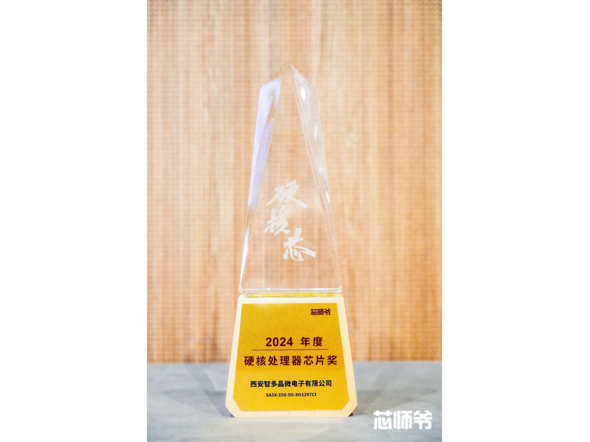 2024���Ӳ�˴�����оƬ��